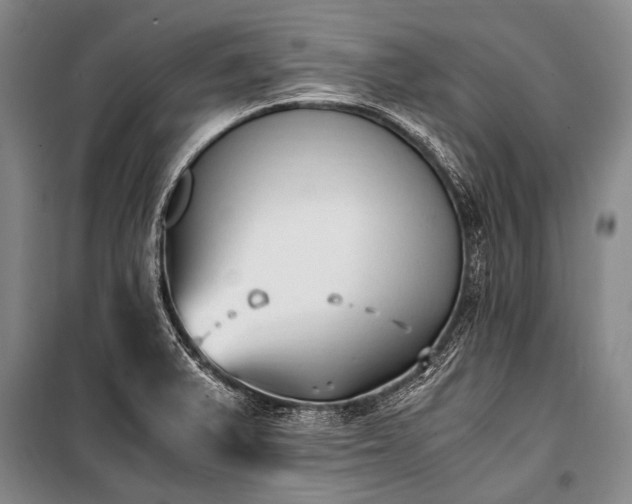 X0000100941375200807011235