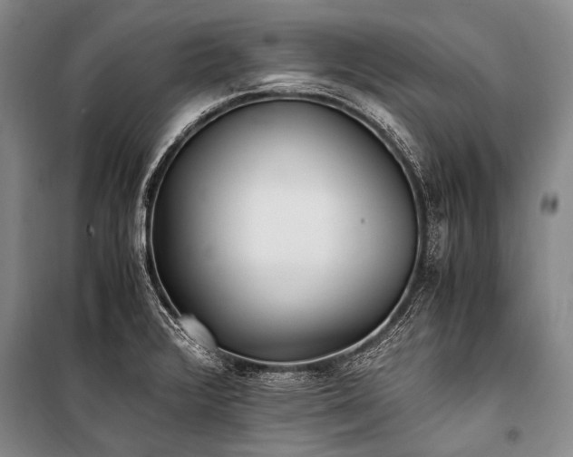 X0000100941376200807011235