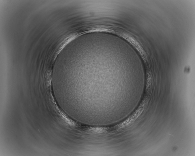 X0000100941377200807011235