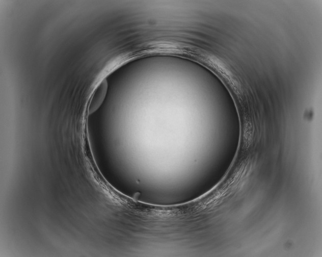 X0000100941378200807011235