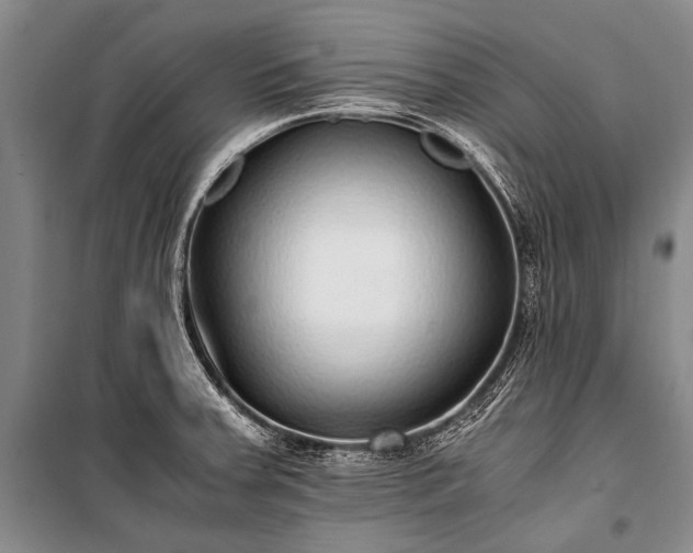 X0000100941379200807011235