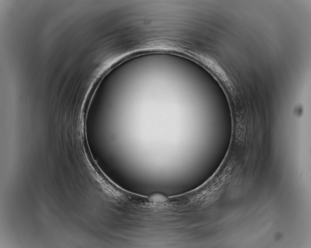 X0000100941380200807011235