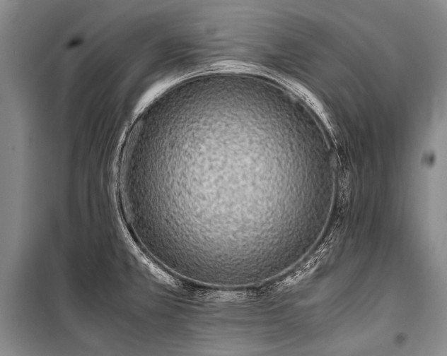 X0000100941381200807011235