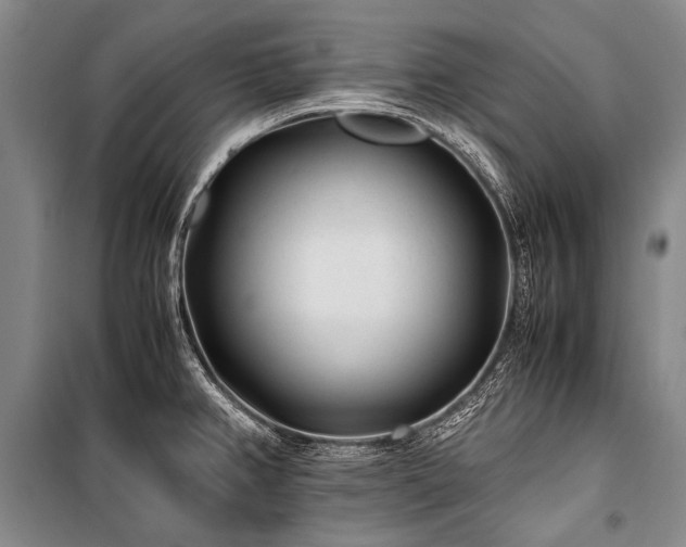 X0000100941382200807011235