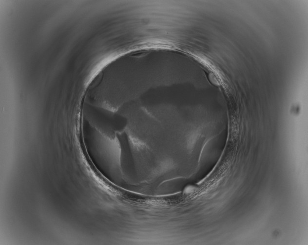 X0000100941383200807011235