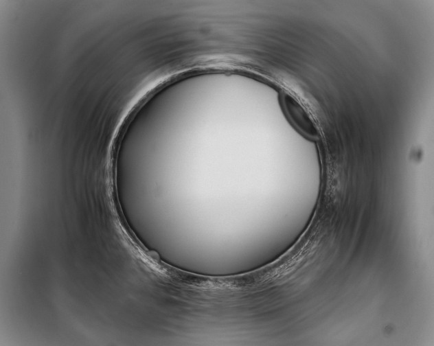 X0000100941384200807011235