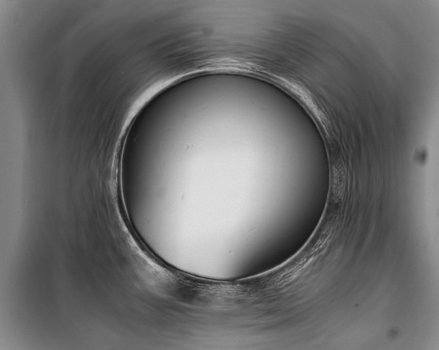 X0000100941387200807011234