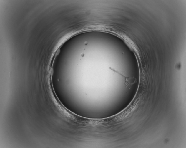 X0000100941389200807011234