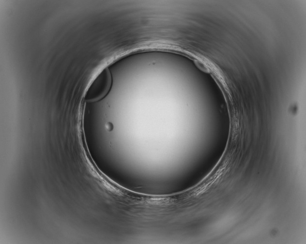 X0000100941390200807011234