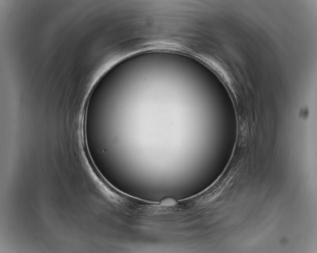 X0000100941391200807011234