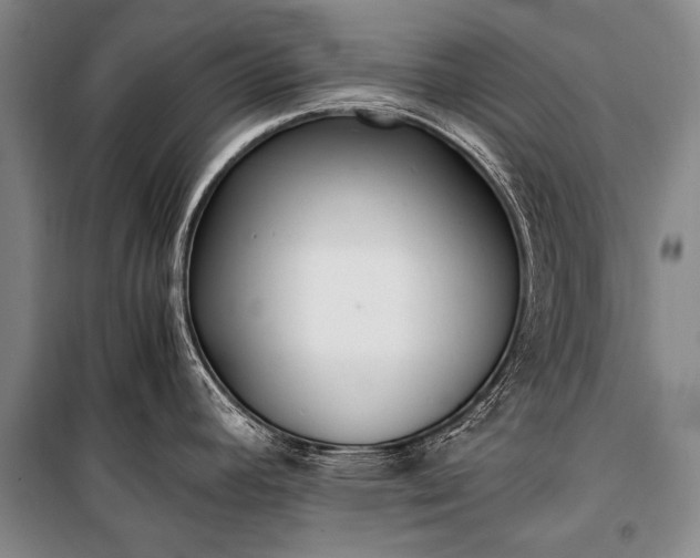 X0000100941392200807011234