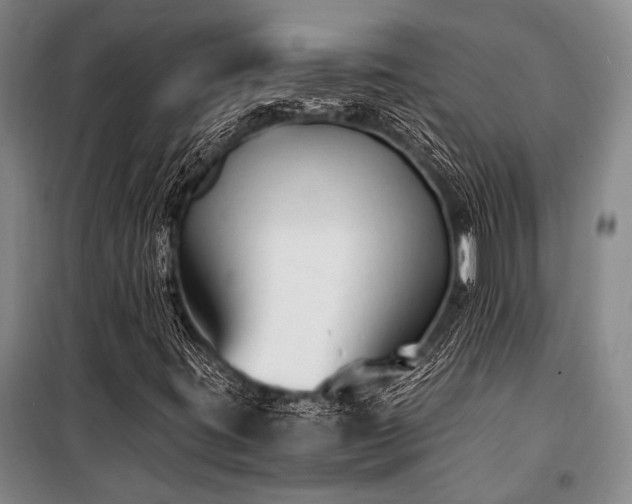 X0000100941395200807011234