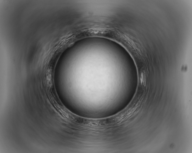 X0000100941396200807011234