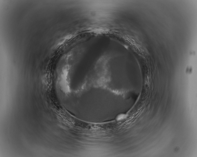 X0000100941398200807011234