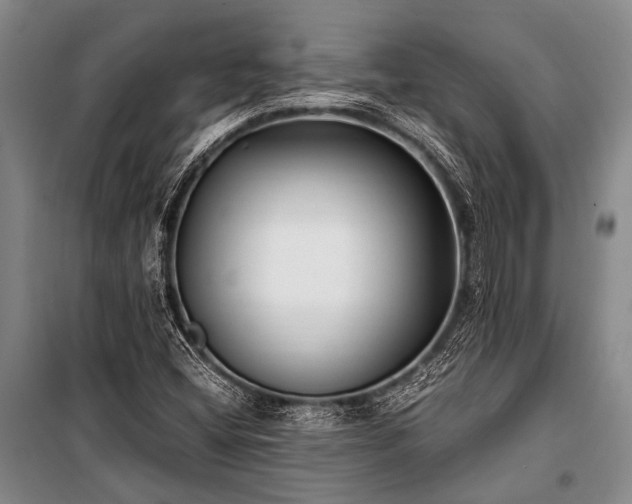 X0000100941404200807011234