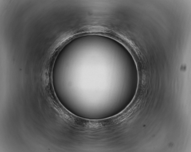 X0000100941407200807011234