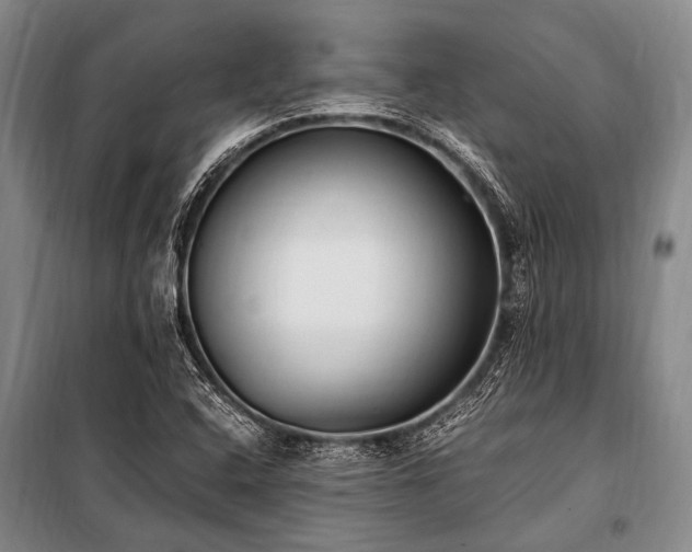X0000100941408200807011234