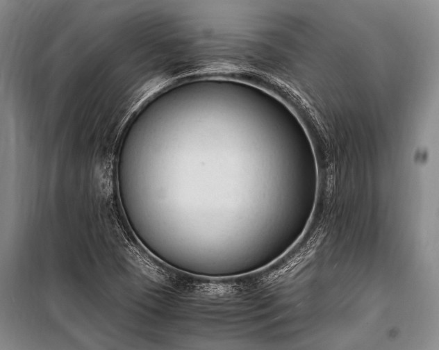 X0000100941409200807011234