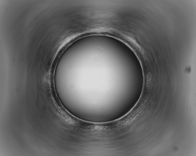 X0000100941412200807011234