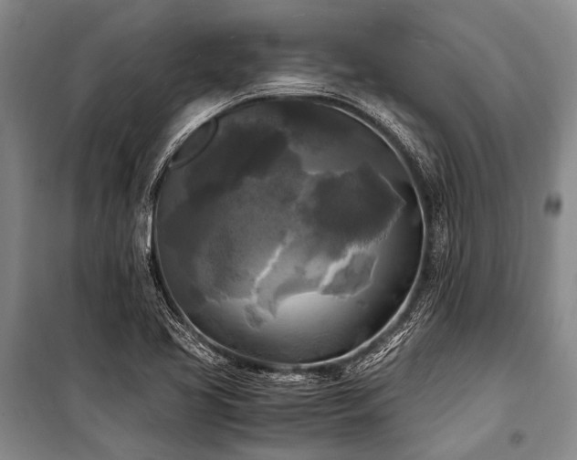 X0000100941413200807011234