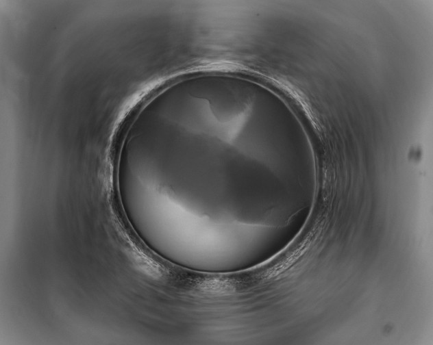 X0000100941414200807011234