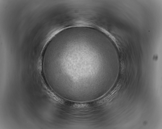 X0000100941415200807011234