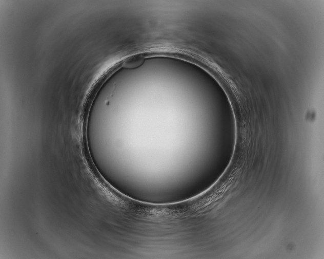 X0000100941416200807011234