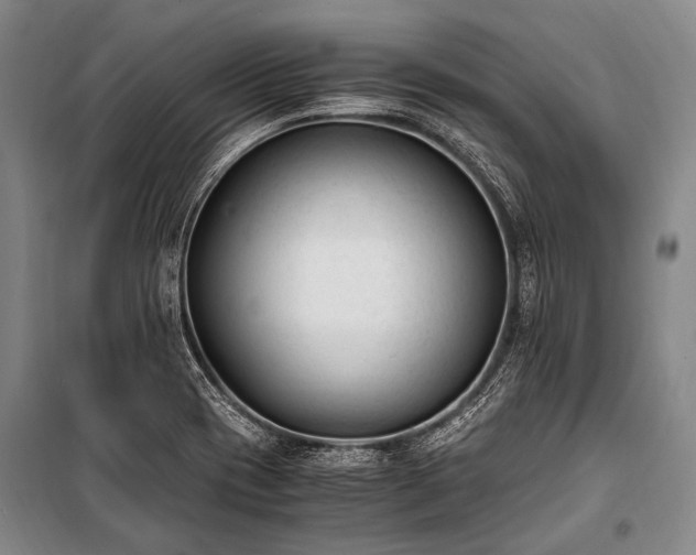 X0000100941417200807011234