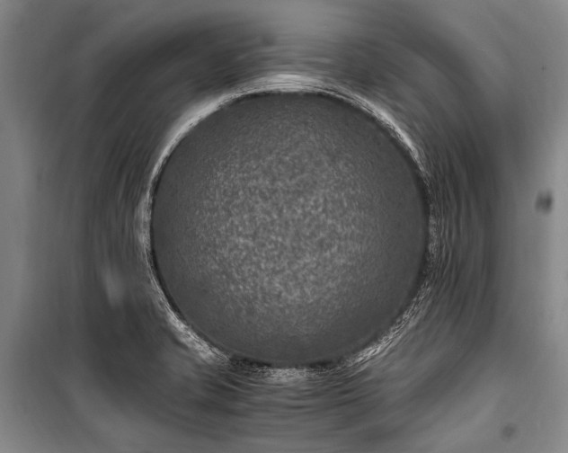 X0000100941421200807011234