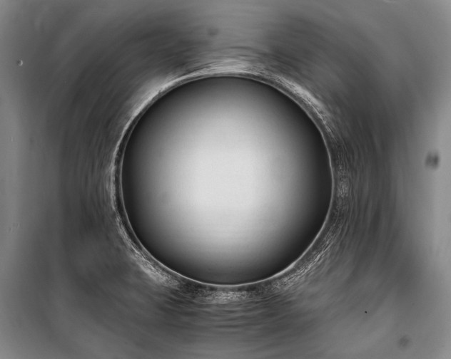 X0000100941423200807011234