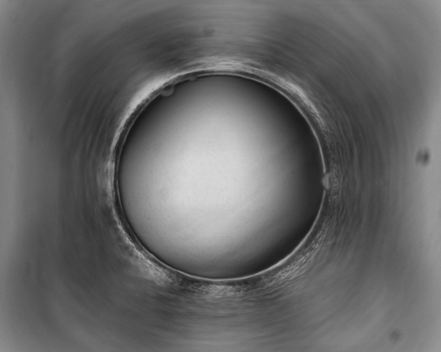 X0000100941424200807011234