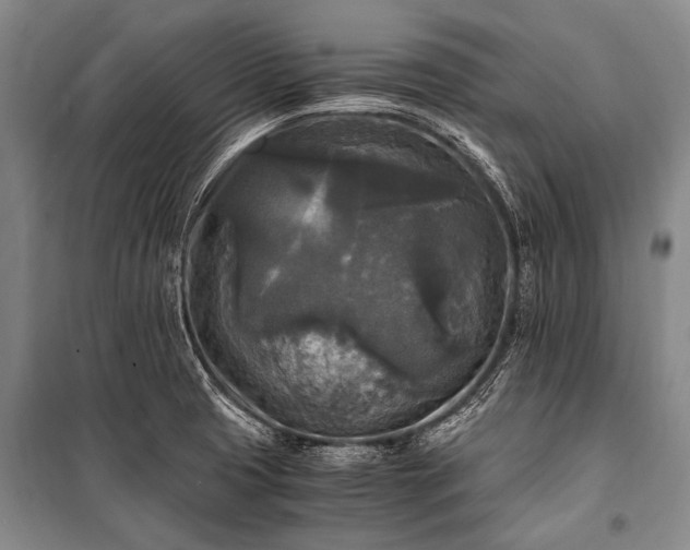 X0000100941425200807011234