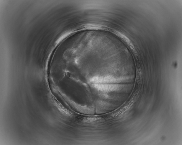 X0000100941427200807011234