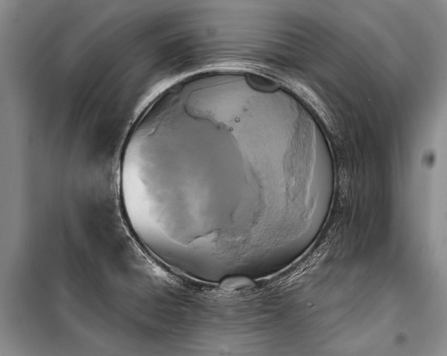 X0000100941428200807011234