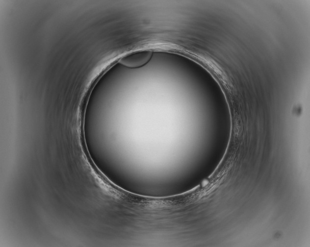 X0000100941430200807011234