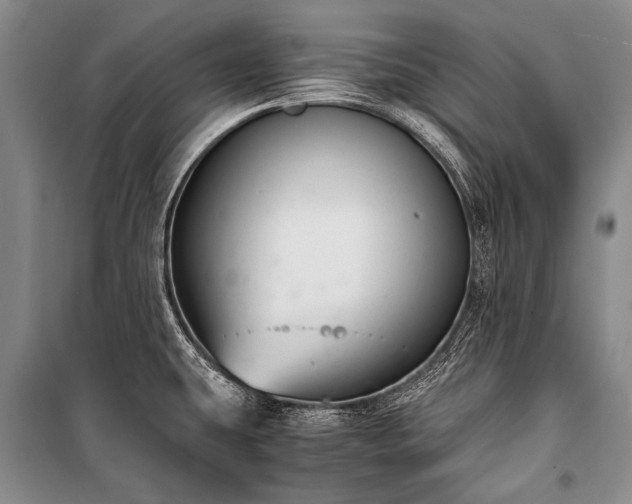 X0000100941431200807011234