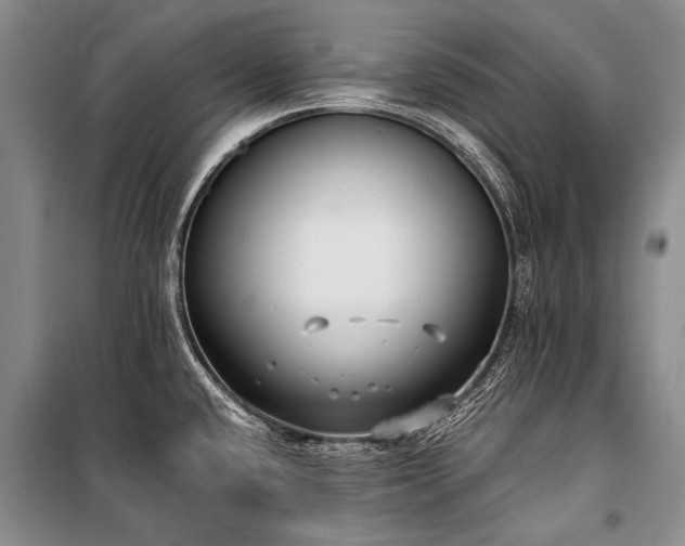 X0000100941432200807011234