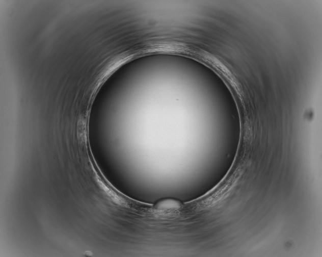 X0000100941433200807011234