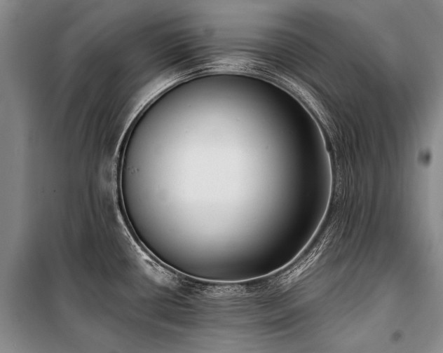 X0000100941434200807011234