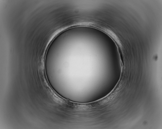 X0000100941436200807011234