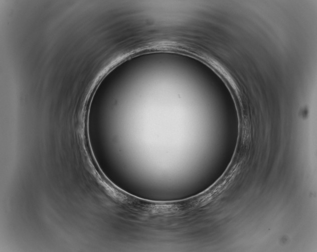 X0000100941437200807011234