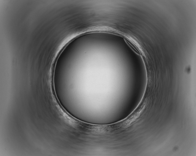 X0000100941438200807011234