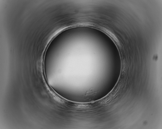 X0000100941439200807011234