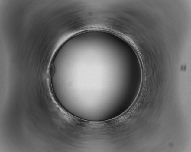 X0000100941440200807011234