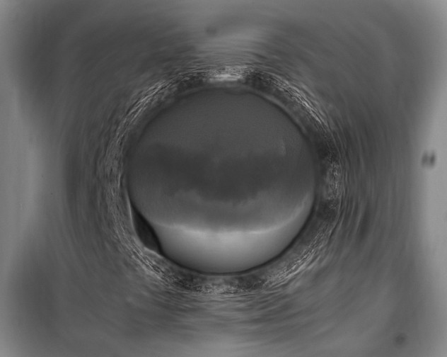 X0000100941441200807011234