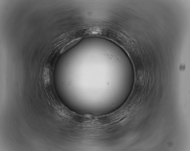 X0000100941442200807011234