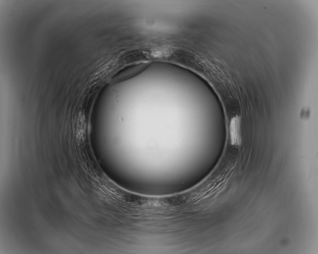 X0000100941443200807011234