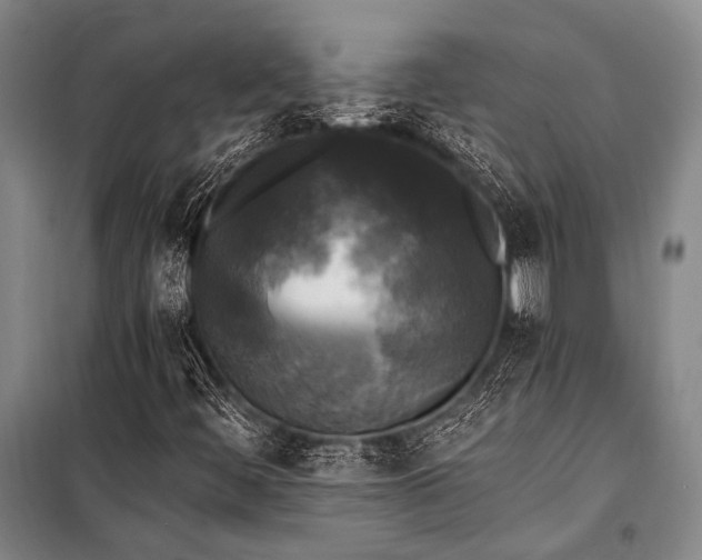 X0000100941444200807011234