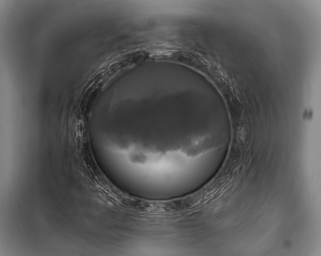X0000100941445200807011234