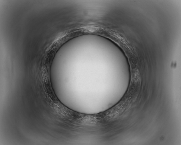 X0000100941446200807011234